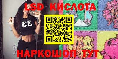 spice Обнинск