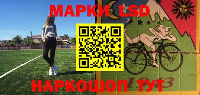 spice Обнинск