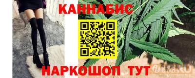 spice Обнинск