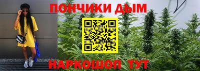 spice Обнинск