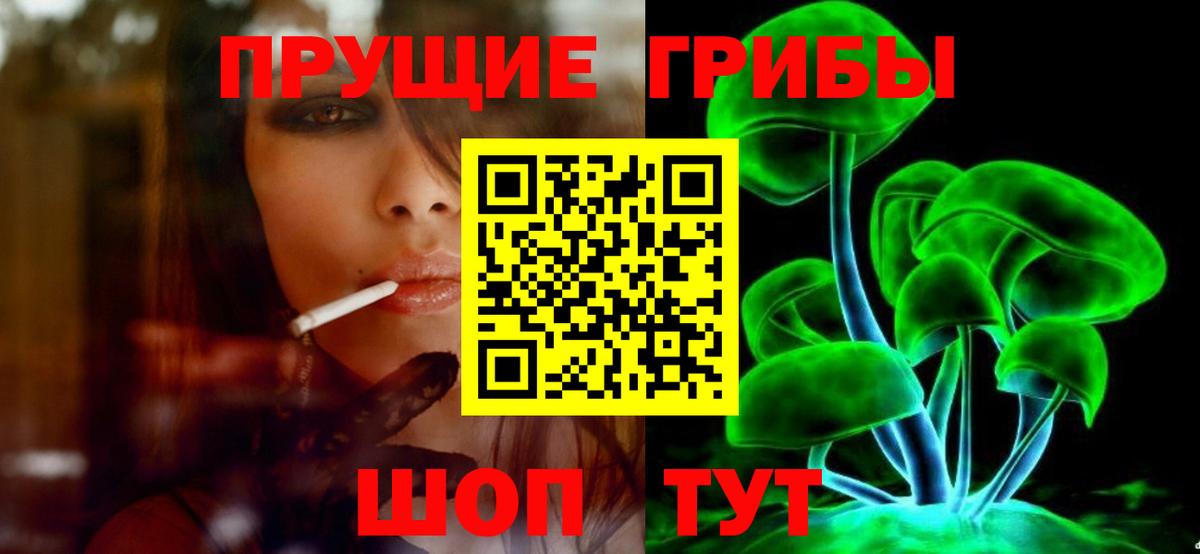 Тавда  Псилоцибиновые грибы GOLDEN TEACHER  Галлюциногенные грибы Psilocybine cubensis  Вход с VPN 